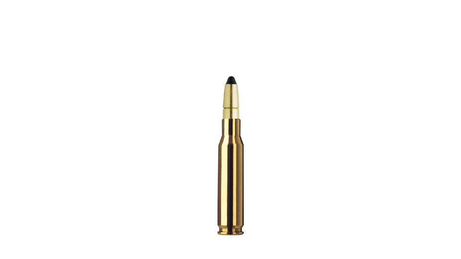 RWS Target Elite Plus