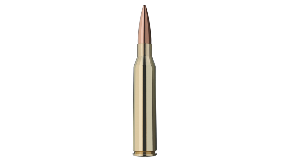 RWS Target Elite Plus