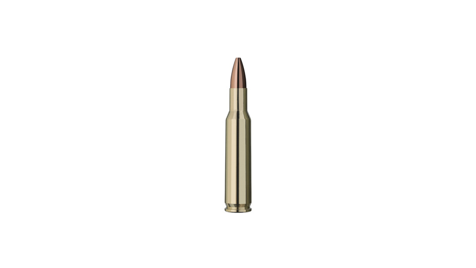 RWS Match Jagd